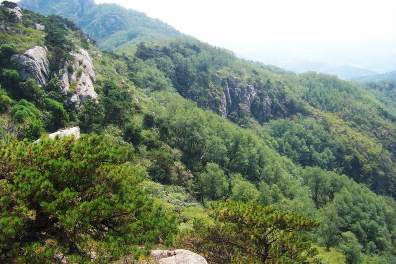 108_9589_缩小大小.JPG