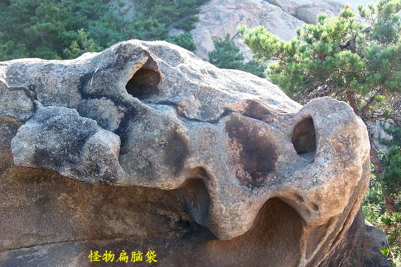 108_9682_缩小大小.JPG