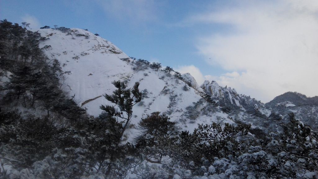 IMG_20141221_112903.jpg