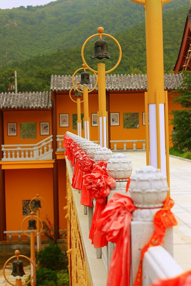 QQ图片20141230093526.jpg