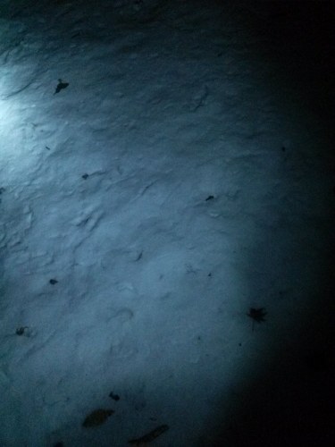20141231_191814.jpg