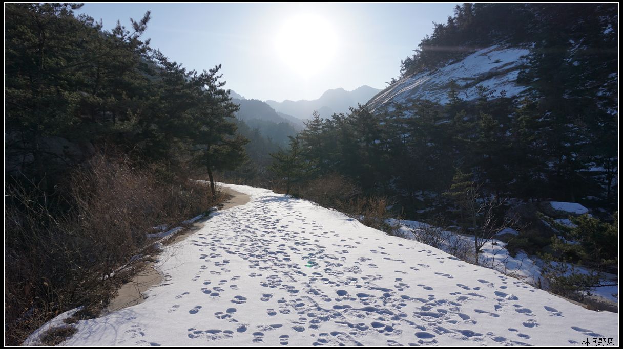 nEO_IMG_DSC01045.jpg