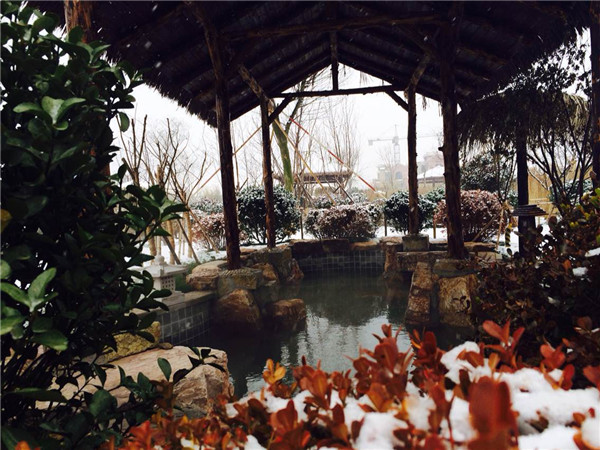 党参池雪景 .jpg