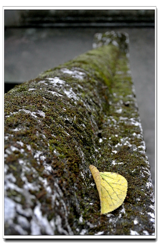 DSC_3030.jpg