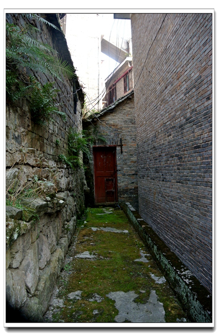 DSC_3087.jpg