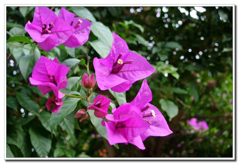 DSC_3091.jpg