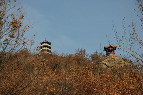 QQ图片20150108100516_副本.jpg
