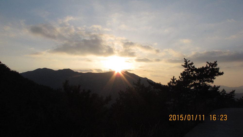 IMG_8634.jpg