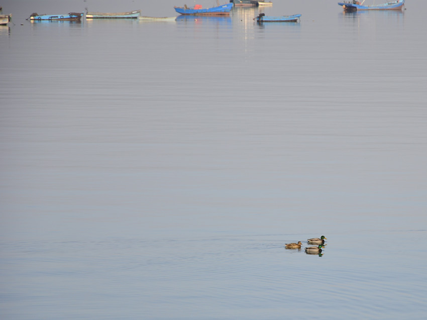 海景 9.jpg