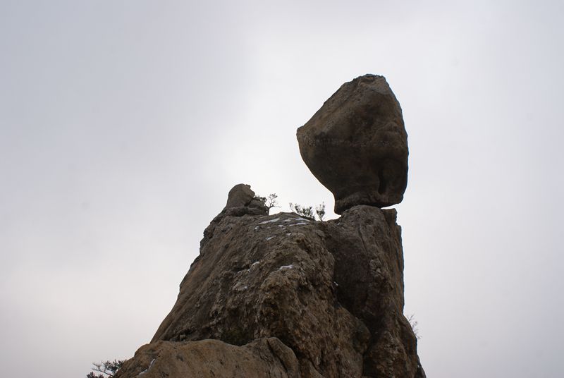 DSC05931.JPG