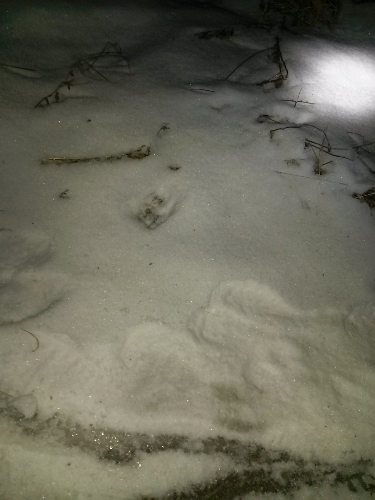 20150128_185618.jpg