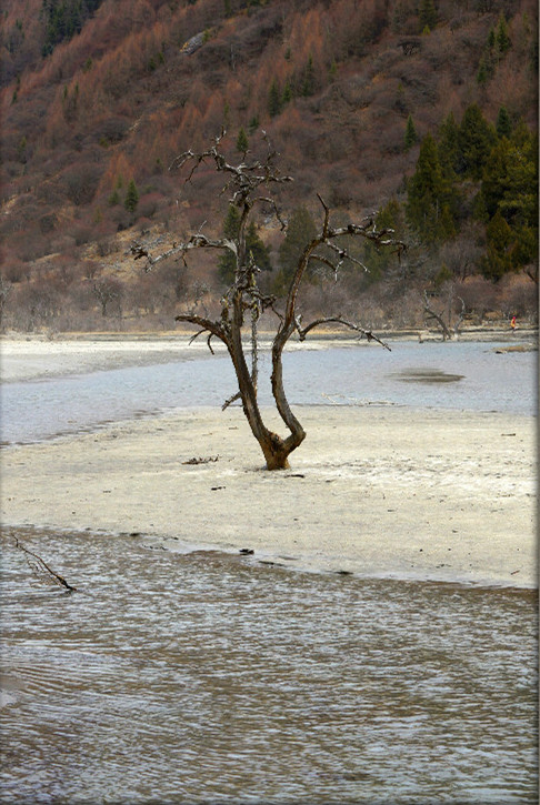 长坪沟  枯树滩.jpg