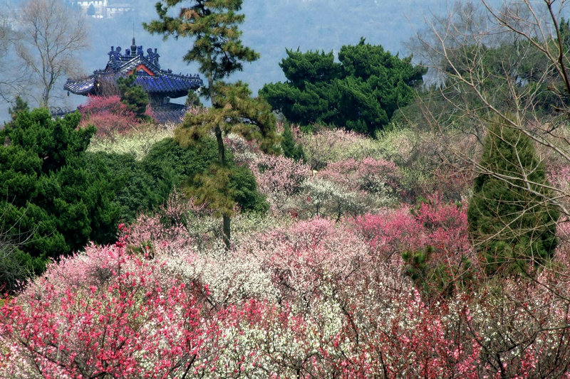 1-13022Q60320 (1).jpg