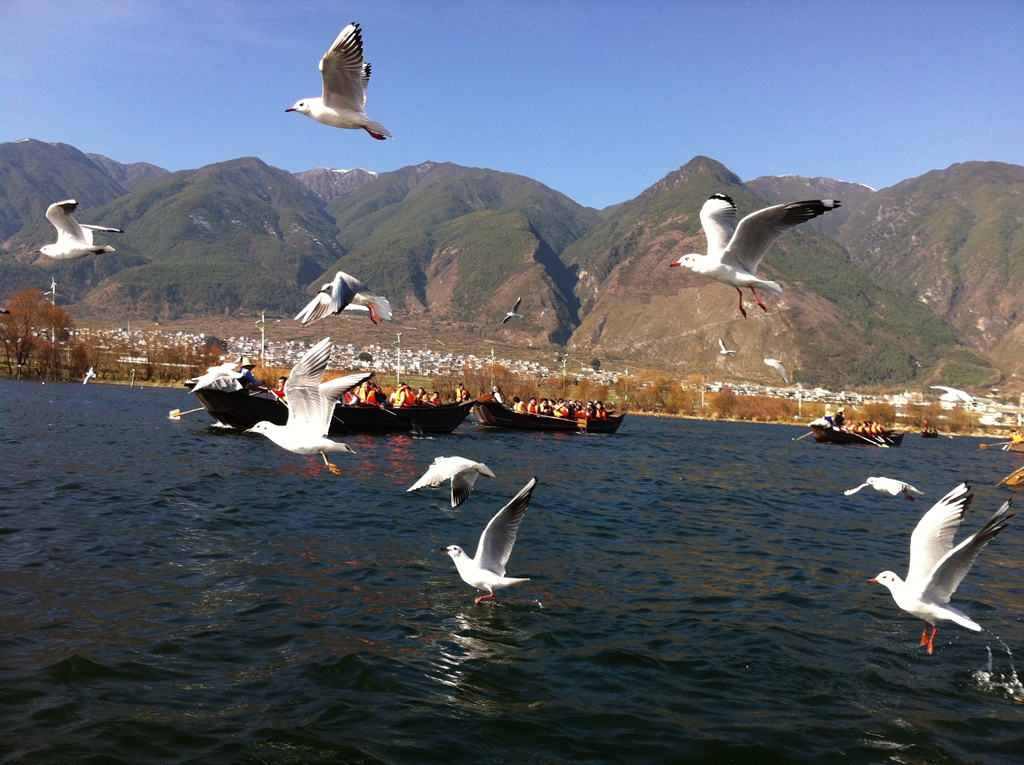 IMG_5188.jpg