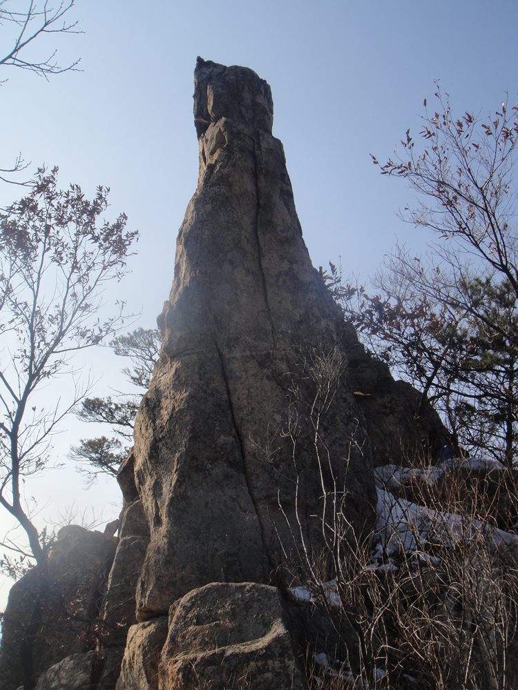 DSC05888.jpg