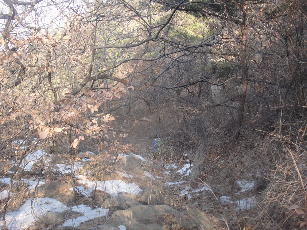 DSC05890.jpg