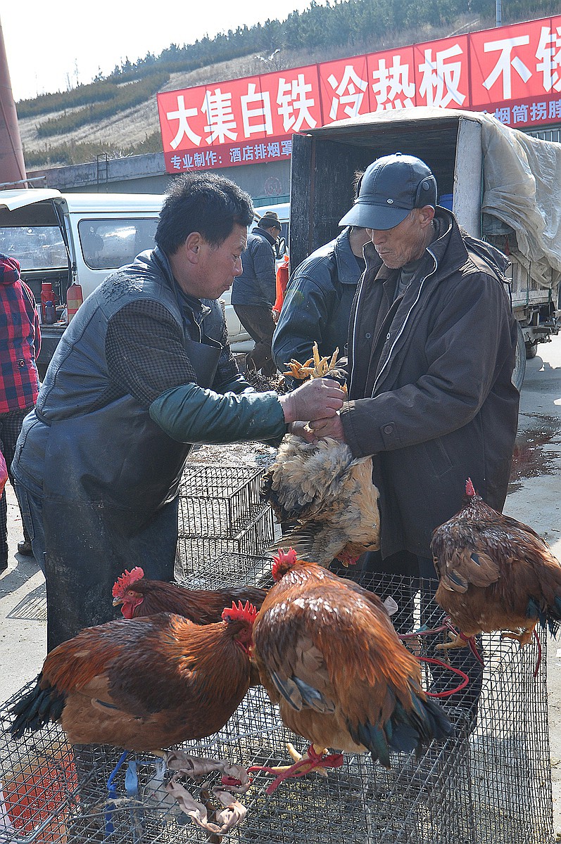 福山大集腊月二十九 126.jpg