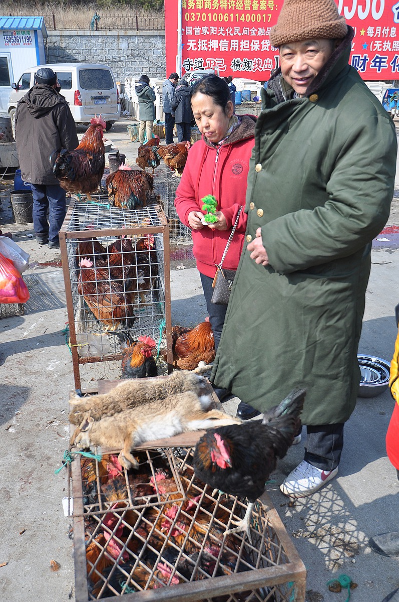 福山大集腊月二十九 134.jpg