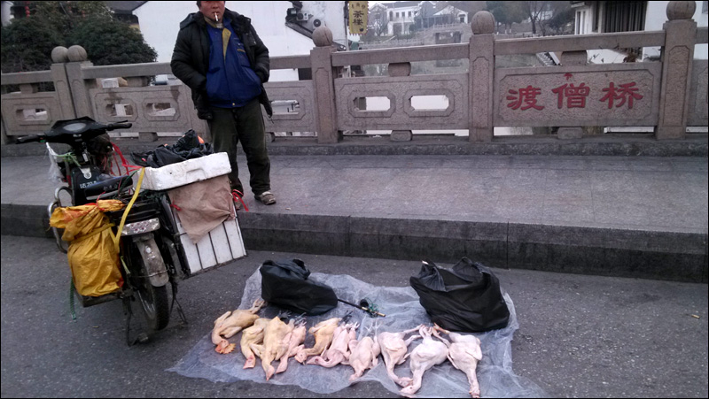 如此渡化.jpg