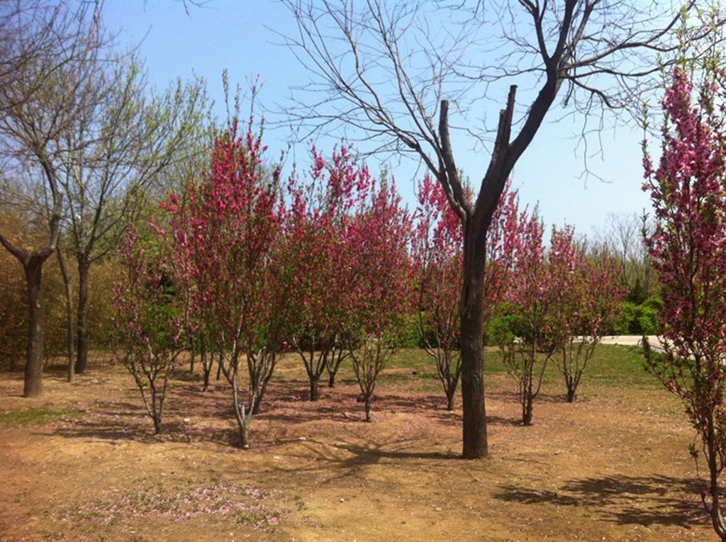 IMG_0701.jpg