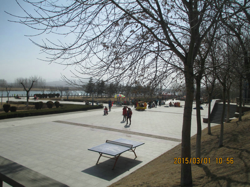IMG_3015.JPG