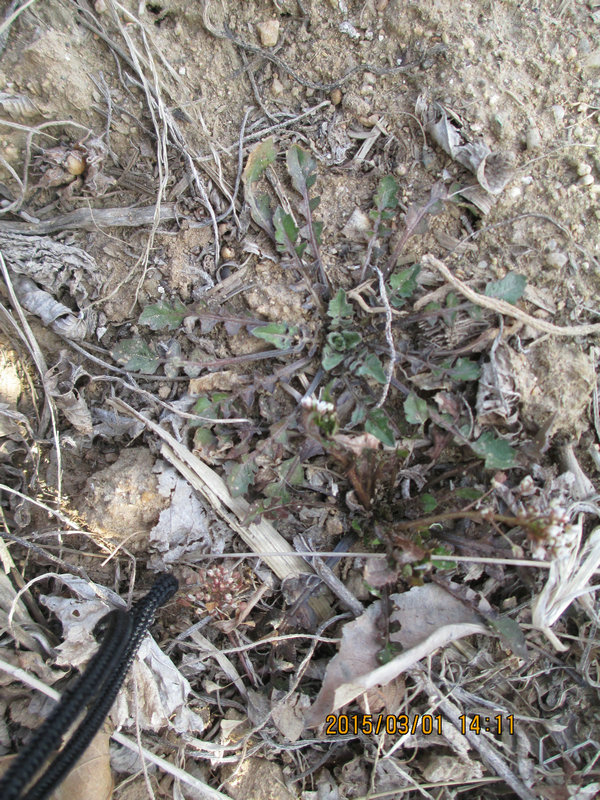 IMG_3048.JPG