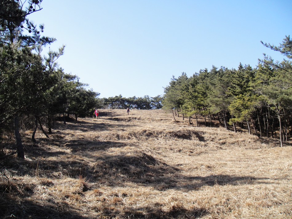 DSC05972.jpg