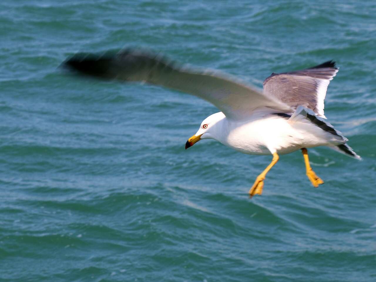 image.jpg