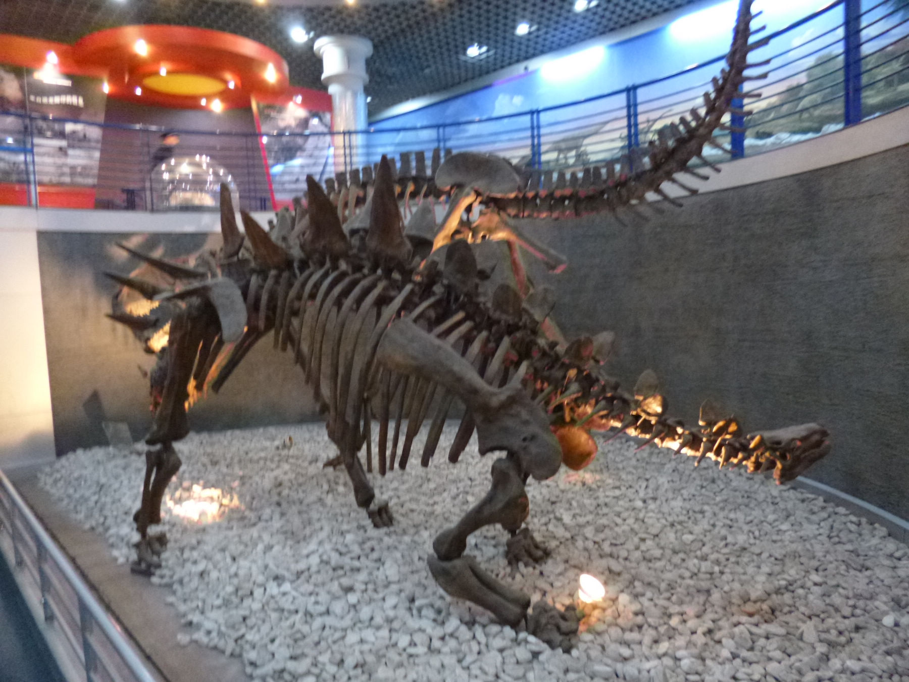 P1030923.JPG