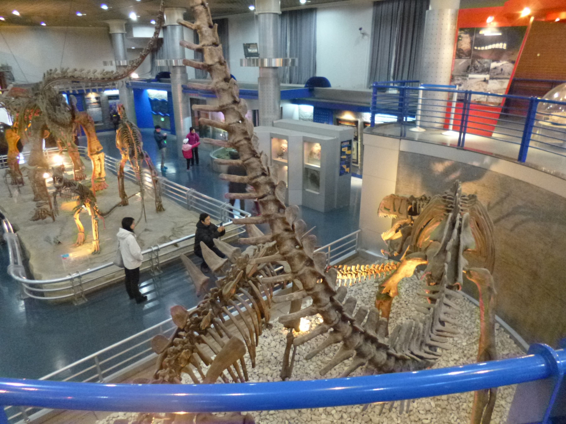 P1030926.JPG