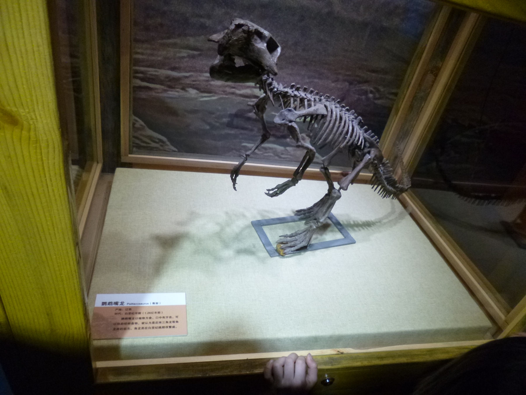 P1030933.JPG