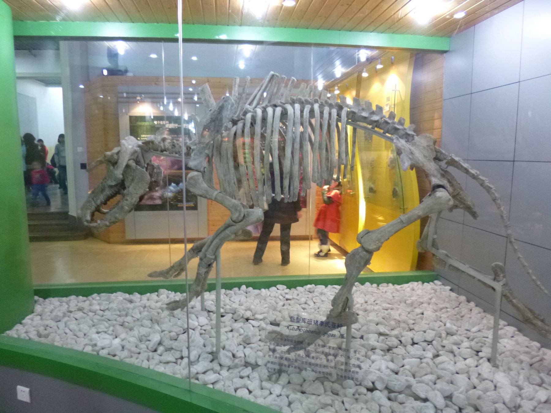 P1030944.JPG