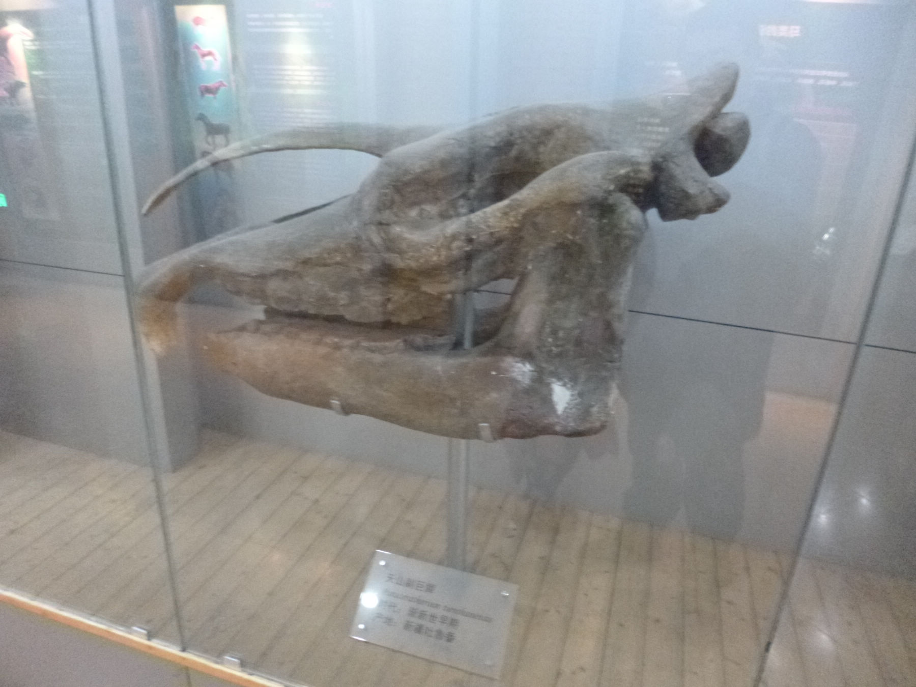 P1030945.JPG