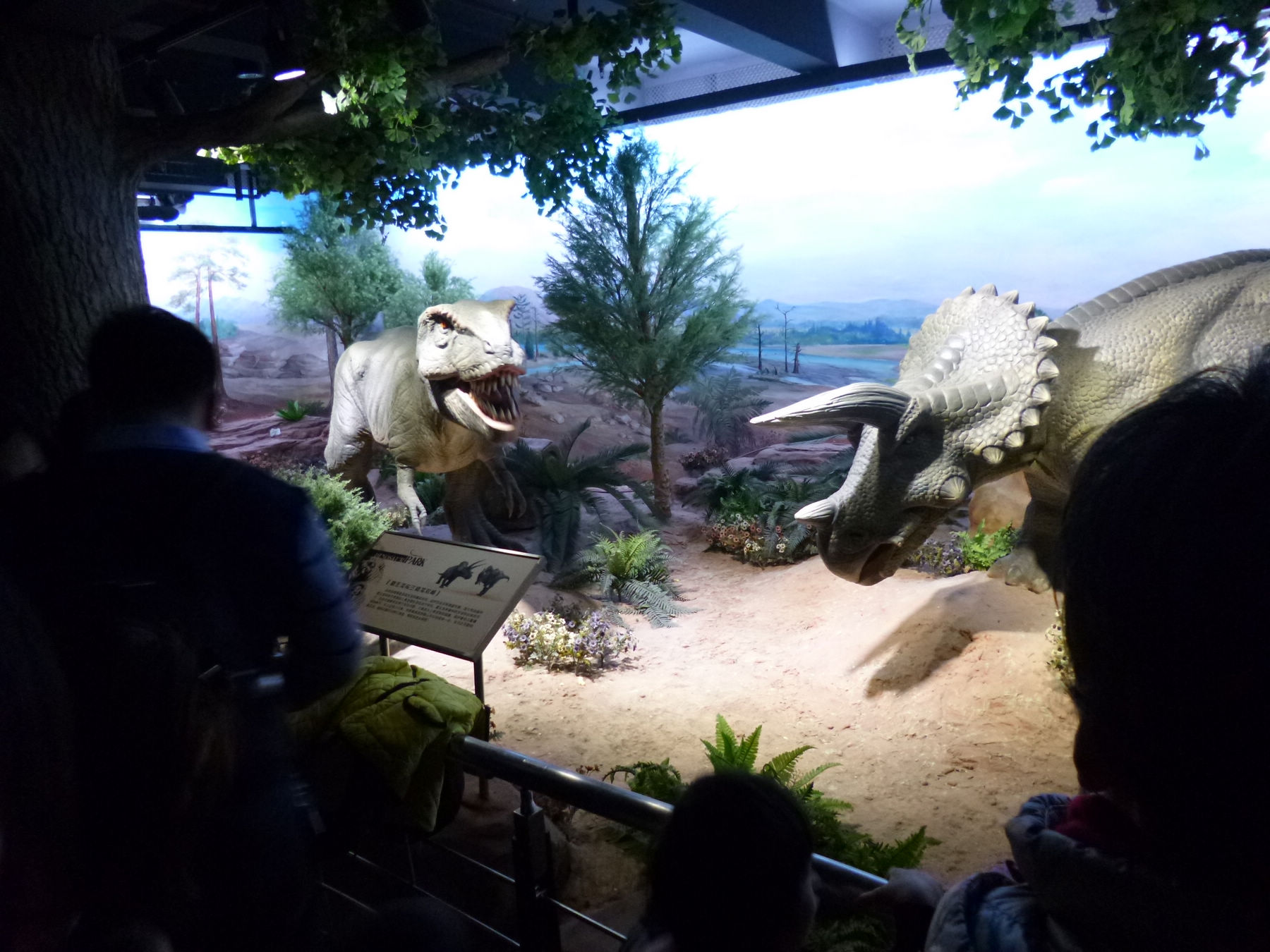 P1030950.JPG