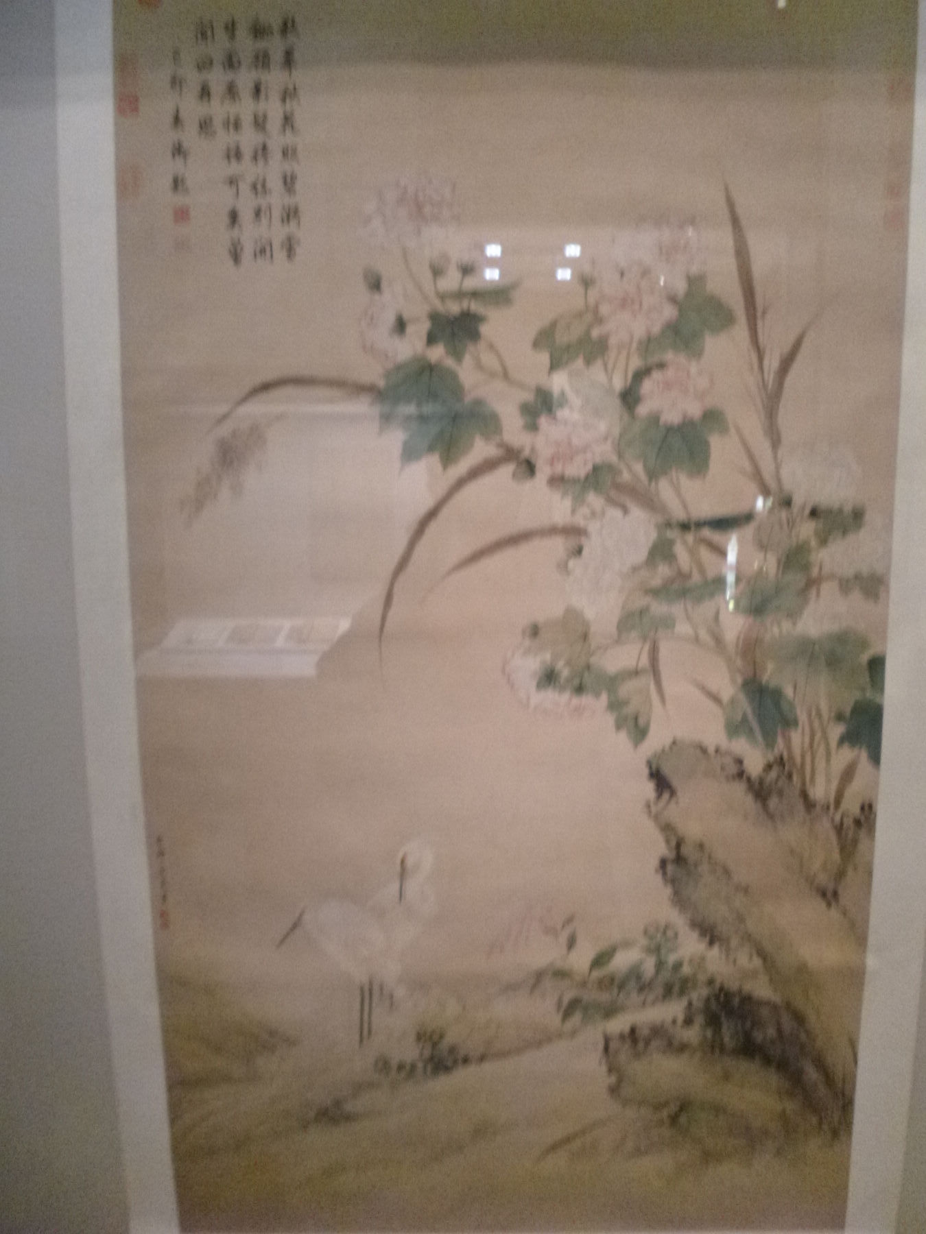 P1030954.JPG