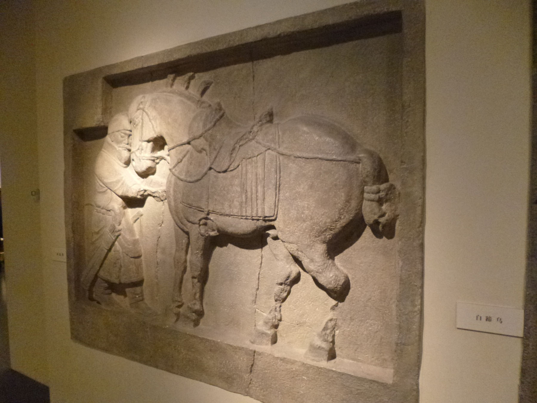 P1030973.JPG