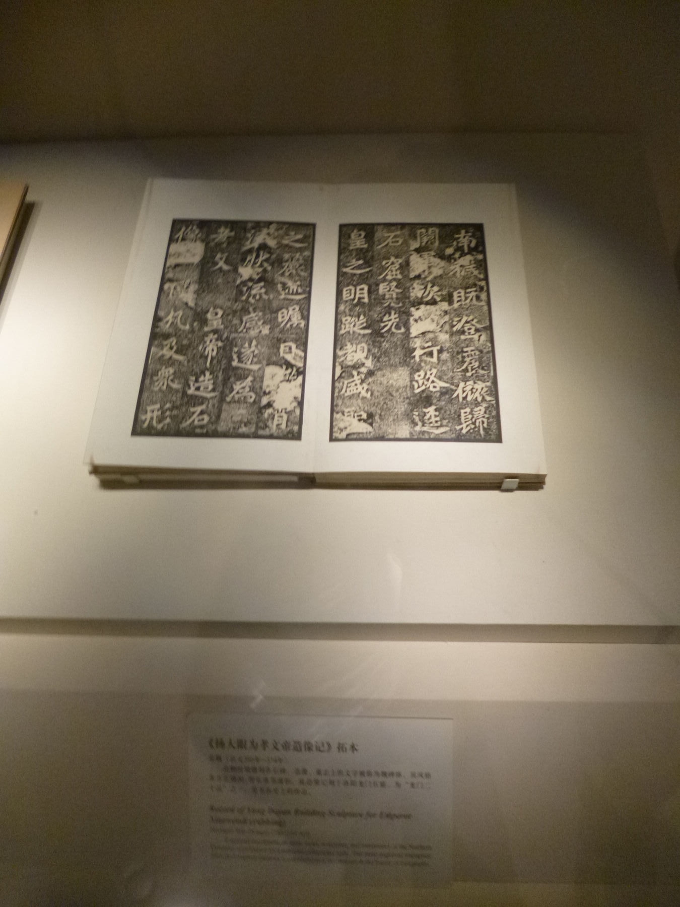 P1030987.JPG