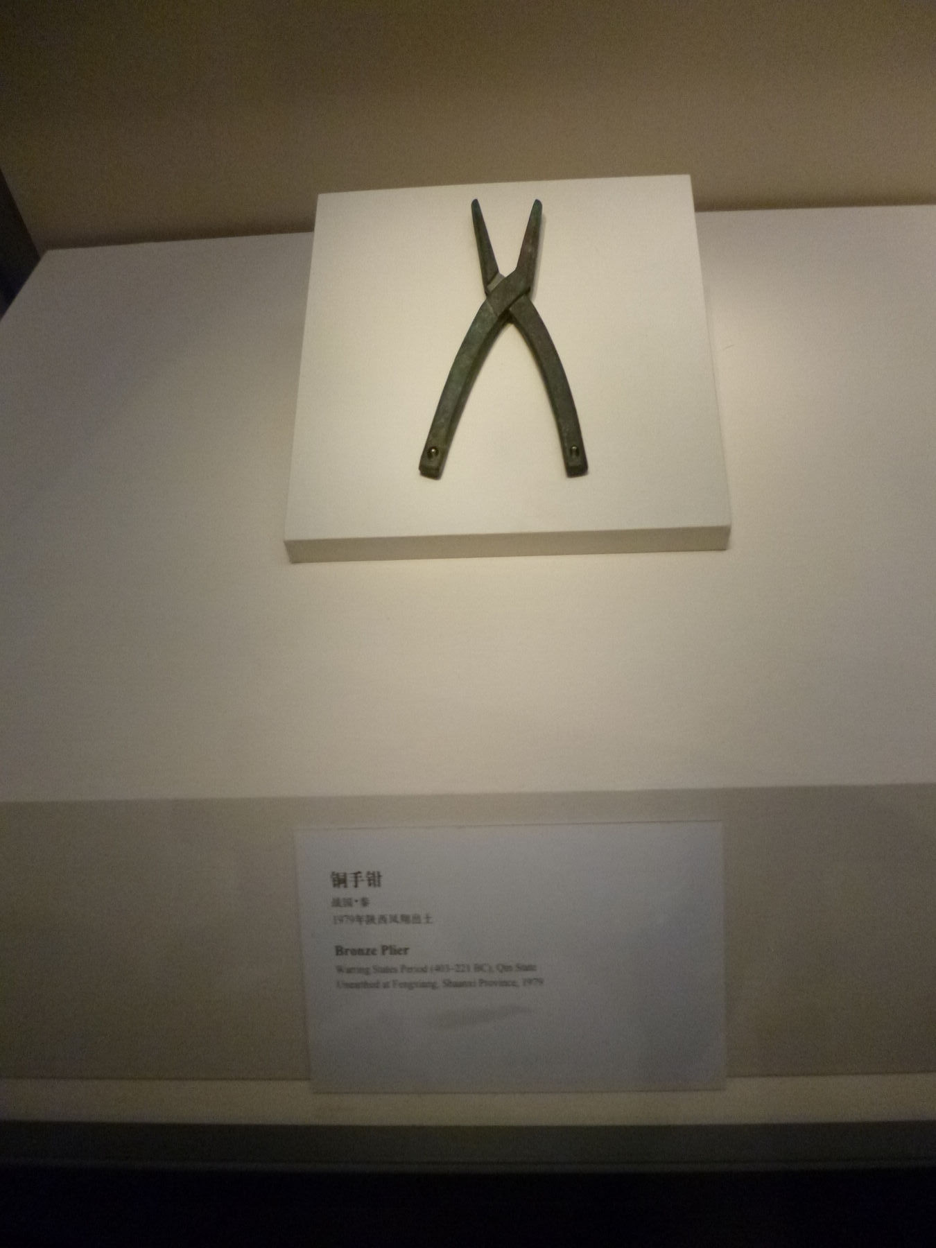 P1040037.JPG