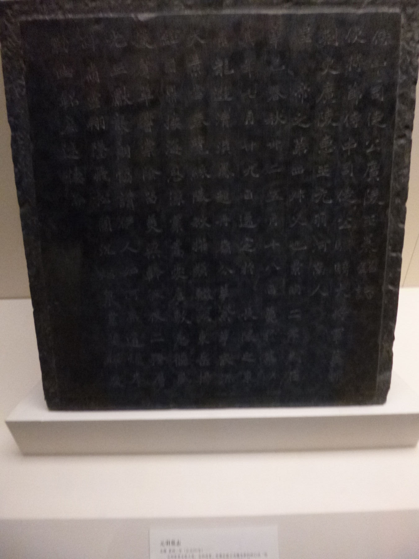 P1030999.JPG
