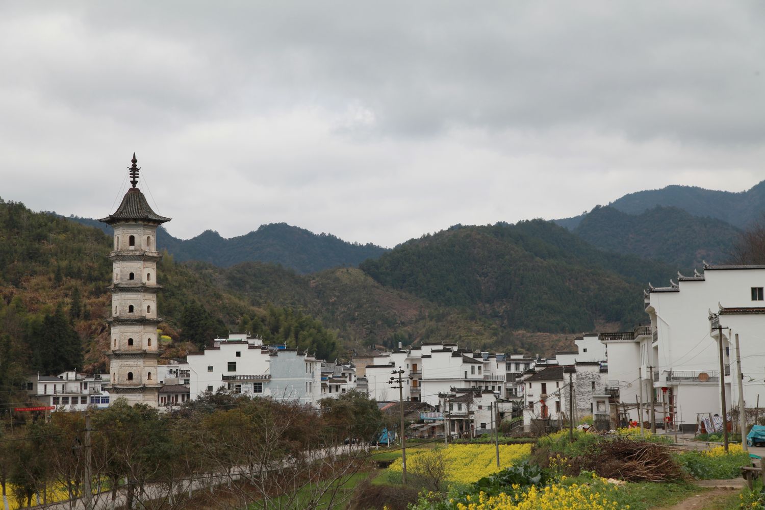 婺源油菜花 121.jpg