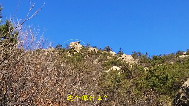 WP_20150306_09_30_59_Pro_缩小大小.jpg