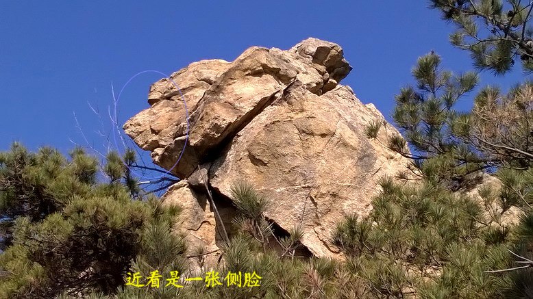 WP_20150306_09_38_05_Pro_缩小大小.jpg