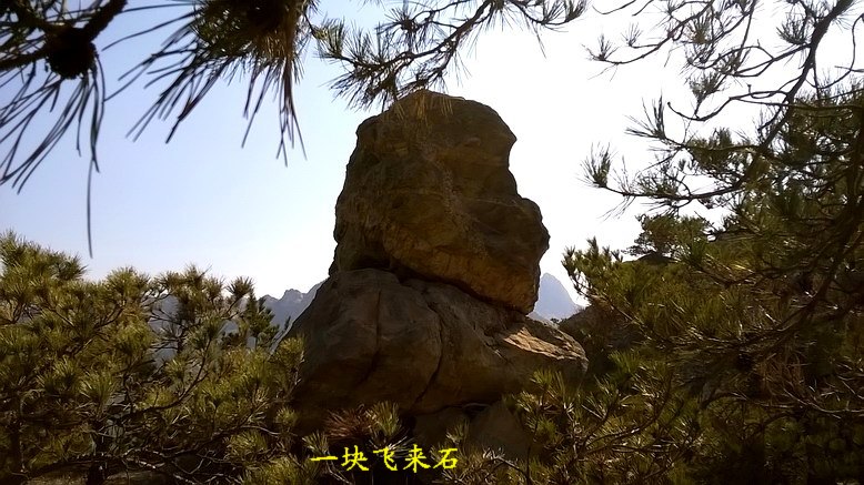 WP_20150306_09_59_55_Pro_缩小大小.jpg