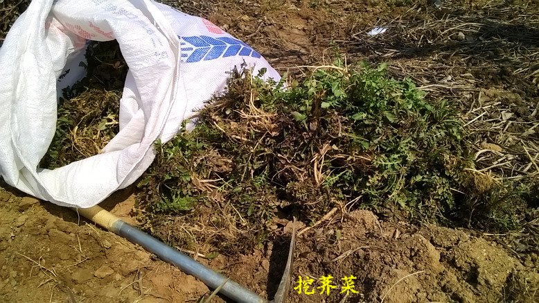 WP_20150306_12_52_33_Pro_缩小大小.jpg