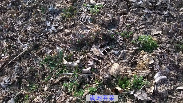 WP_20150306_14_39_55_Pro_缩小大小.jpg