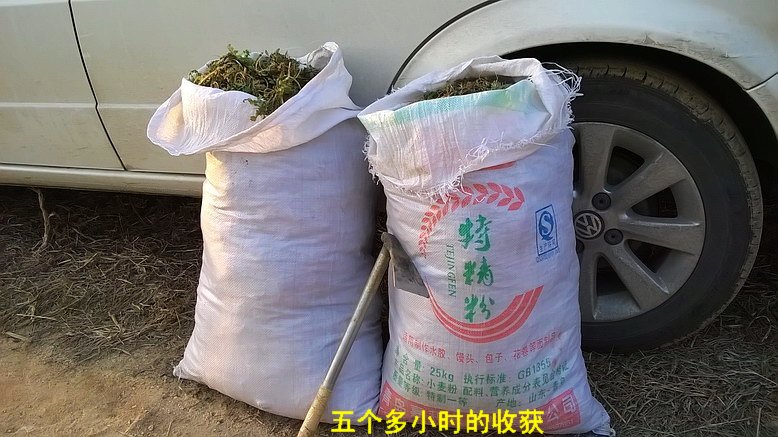 WP_20150306_16_51_37_Pro_缩小大小.jpg