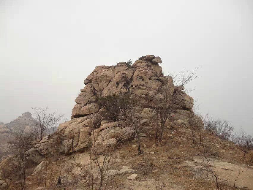 四虎