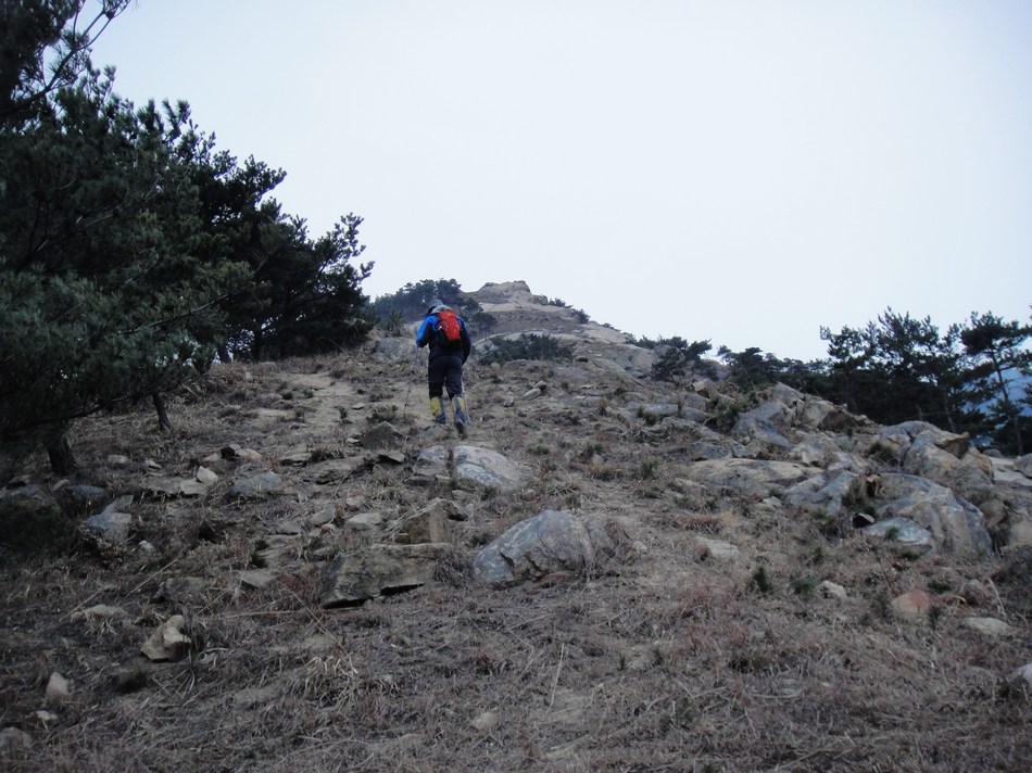 DSC06035.jpg