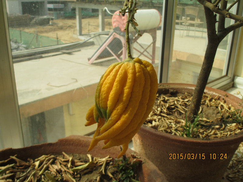 IMG_3093_1.jpg
