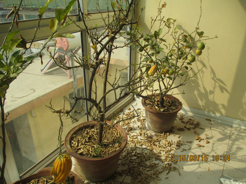IMG_3094_1.jpg